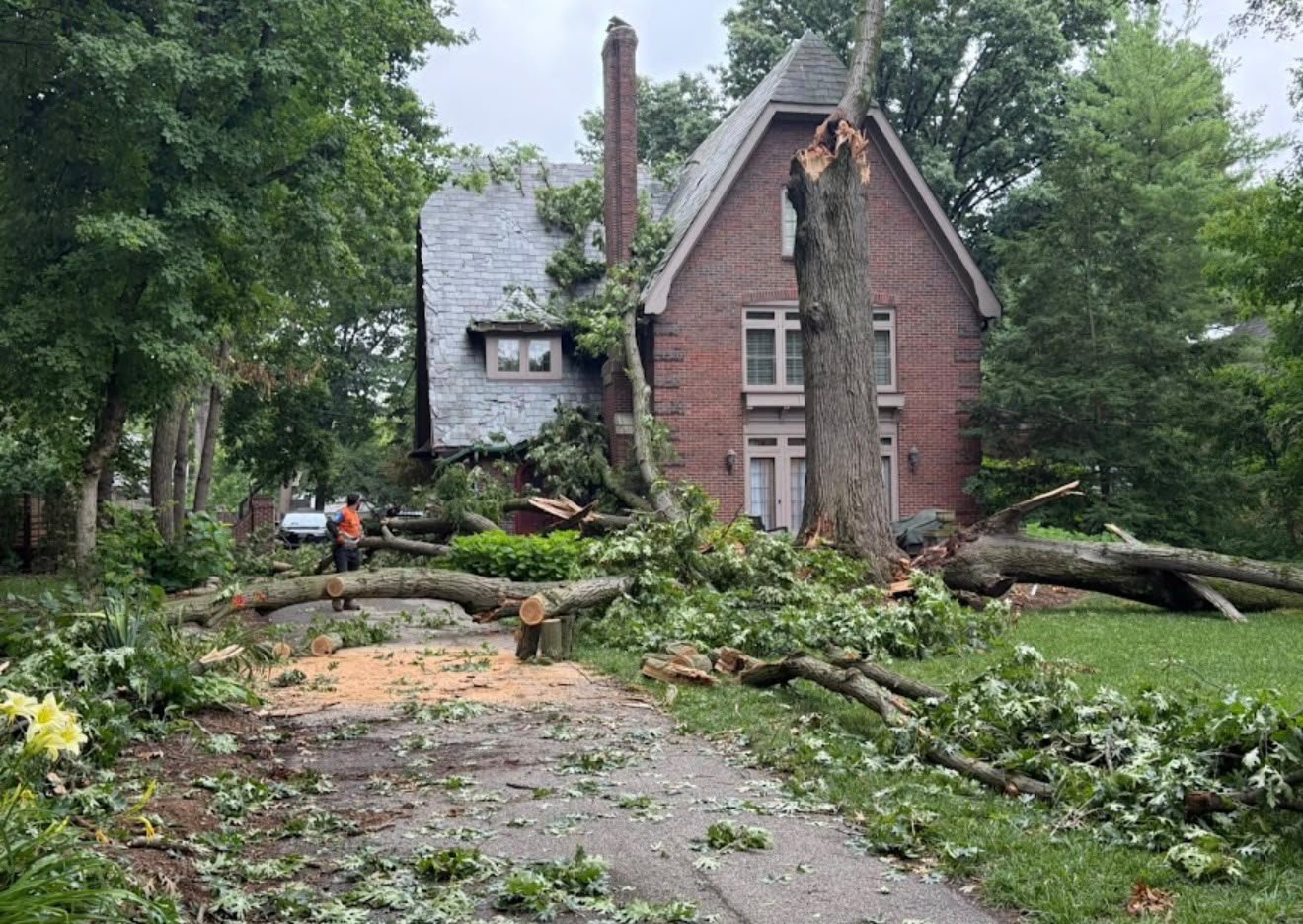 Stump grinding services by Hoosier Elite Tree Services in Indianapolis, Indiana
