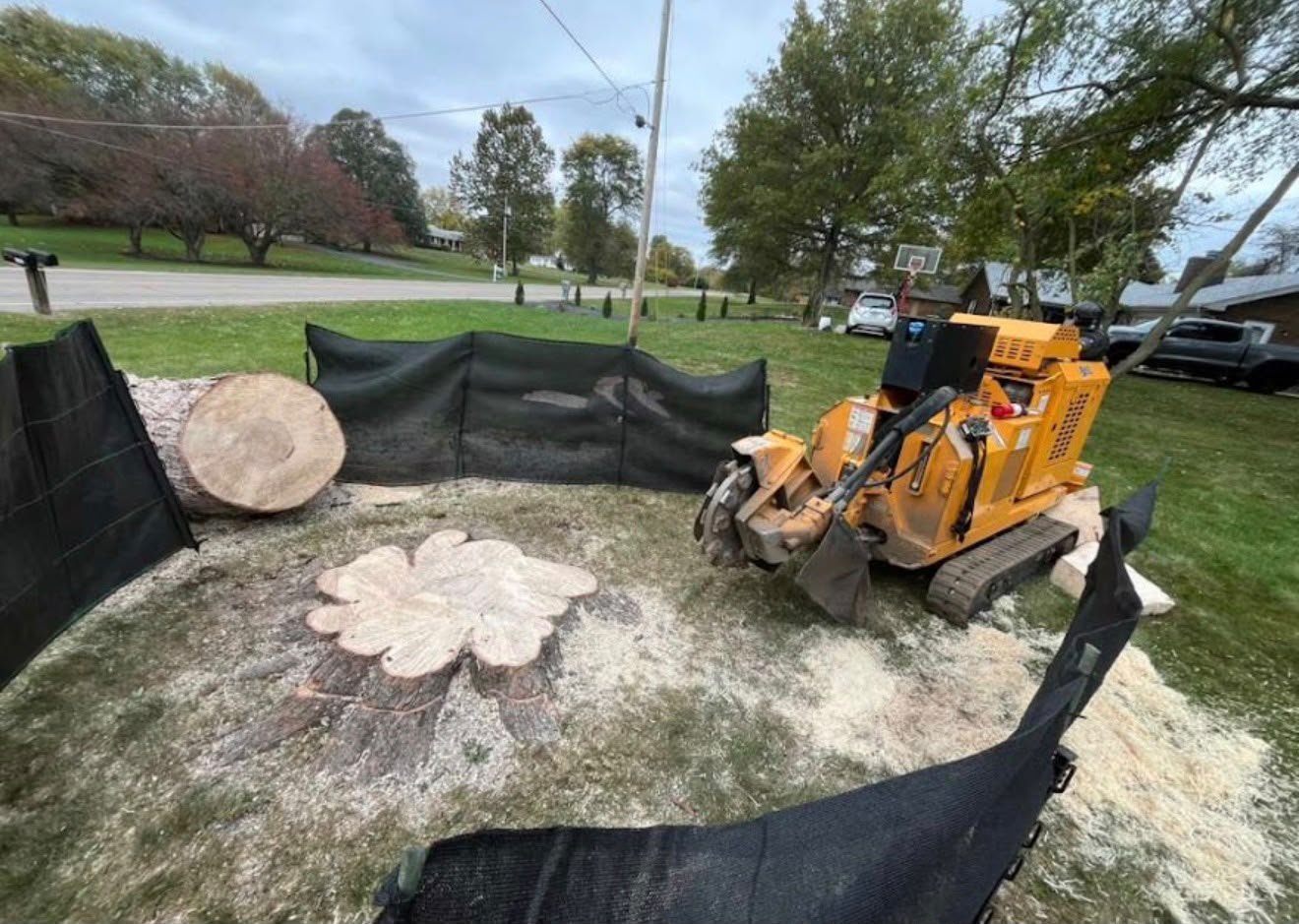 Stump grinding services by Hoosier Elite Tree Services in Indianapolis, Indiana