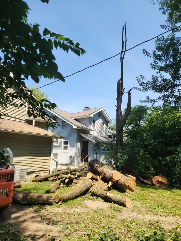 Stump grinding services by Hoosier Elite Tree Services in Indianapolis, Indiana